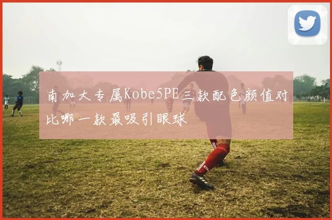 南加大专属Kobe5PE三款配色颜值对比哪一款最吸引眼球