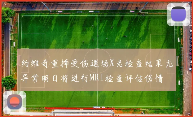 约维奇重摔受伤退场X光检查结果无异常明日将进行MRI检查评估伤情