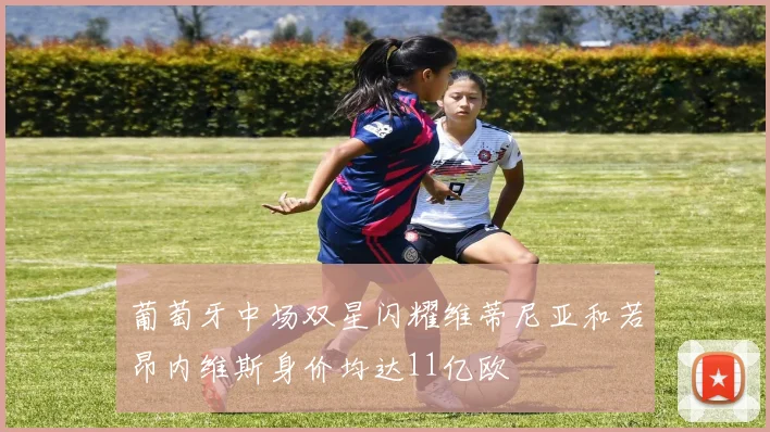 葡萄牙中场双星闪耀维蒂尼亚和若昂内维斯身价均达11亿欧