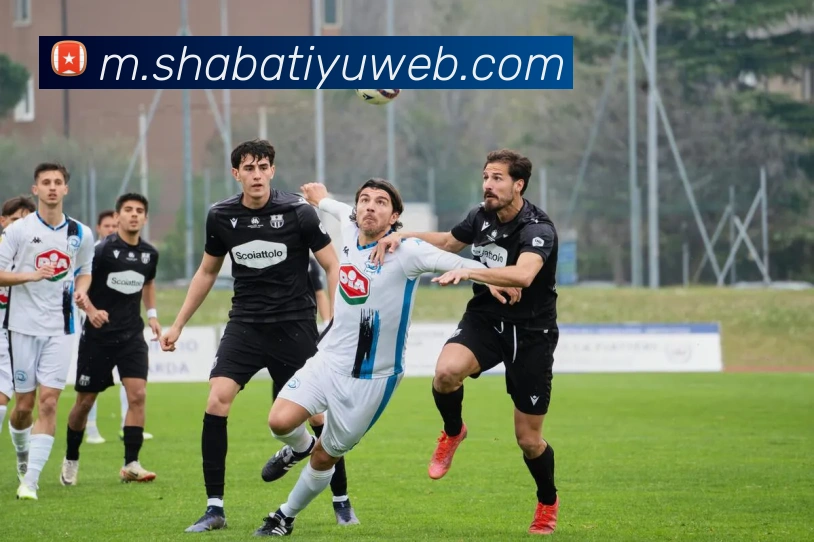 沙巴体育平台生态图