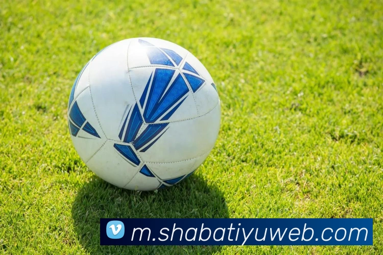 沙巴体育APP 封面图